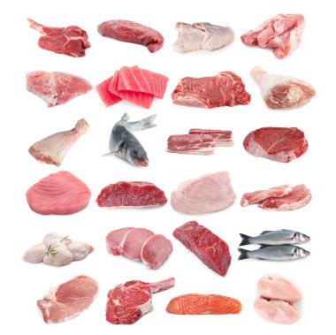Balık ve et. Beyaz arka planda farklı ham ürünler, kolaj