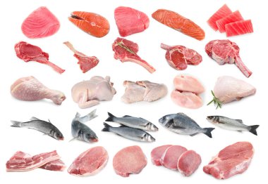 Balık ve et. Beyaz arka planda farklı ham ürünler, kolaj
