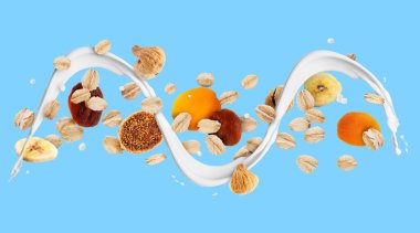 Yulaflı süt akışı ve açık mavi arka planda kurumuş meyveler. Pankart tasarımı