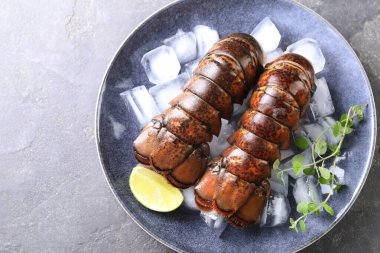 Çiğ ıstakoz kuyruğu, mikro yeşillikler, yeşil masa üzerinde limon ve buz, üst manzara. Metin için boşluk