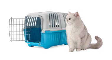 Sevimli kedi ve evcil hayvan taşıyıcısı beyaz üzerinde izole edilmiş.