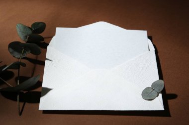 Zarftaki boş tebrik kartı ve okaliptüs yaprakları kahverengi arkaplanda, yakın plan