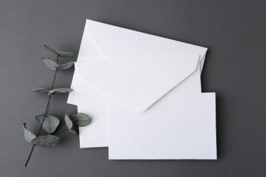 Boş tebrik kartı, zarflar ve okaliptüs yaprakları gri arka planda, düz yatıyordu.