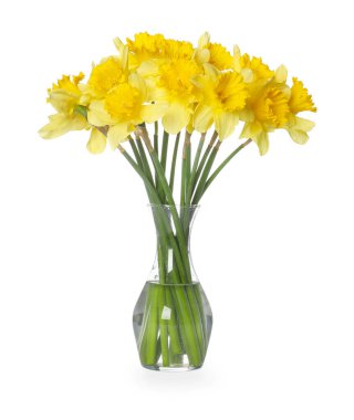 Beyaz vazodaki sarı nergisler