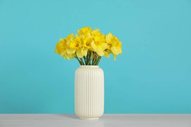 Vazodaki güzel nergisler ışık masasında turkuaz arka planda.