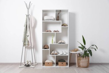 Farklı ayakkabı, aksesuar, giysi ve ev bitkilerine sahip raf ünitesi. Ayakkabı deposu