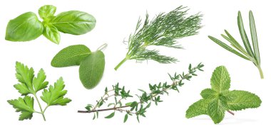 Beyaza izole edilmiş farklı otlar.