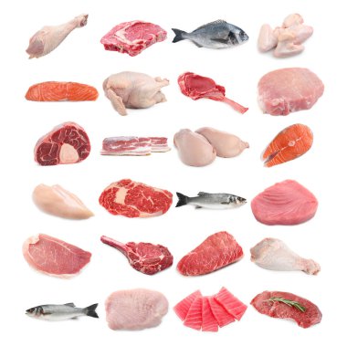 Balık ve et. Beyaz arka planda farklı ham ürünler, kolaj