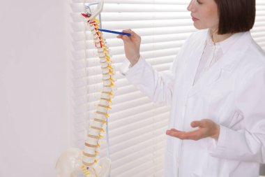 Doktor klinikteki insan omurga modeline işaret ediyor.