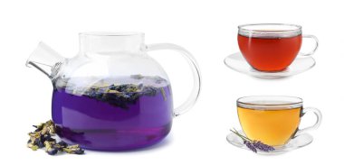 Beyaz sette izole edilmiş farklı tipte cam çay.