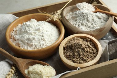 Işık masasında farklı tipte un, yakın plan.