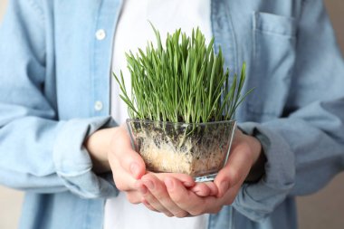 Arka planda şeffaf tencerede buğday çimeni olan kadın, yakın plan.
