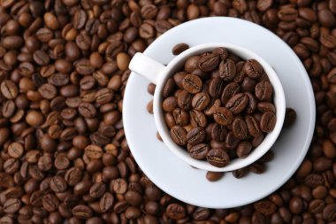 Kahve çekirdekli fincan ve çay tabağı, en iyi manzara. Metin için boşluk