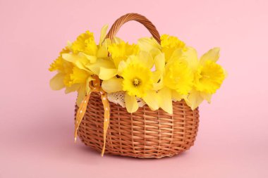 Açık pembe arka planda sepetteki güzel nergisler