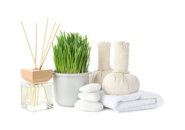 Spa composition with wheatgrass and herbal bags isolated on white