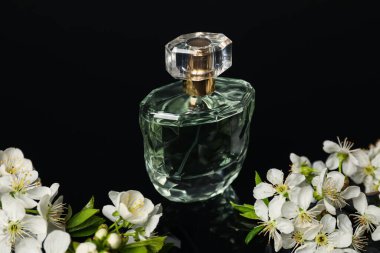 Aromatik parfüm ve siyah ayna yüzeyinde güzel çiçekler, yakın plan.