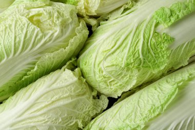 Arka plan olarak taze Çin lahanaları, üst görünüm