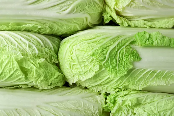 Arka plan olarak taze Çin lahanaları, üst görünüm