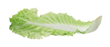 Beyaz tenli taze Çin lahanası.