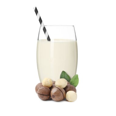 Bardakta fındık sütü ve beyaza izole edilmiş makadamialar.