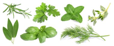 Beyaza izole edilmiş farklı otlar.