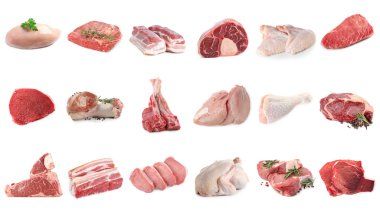 Farklı türde taze et, beyaza izole edilmiş, kolaj. Biftek, domuz, tavuk ve dana eti.