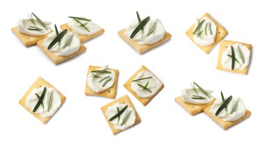 Krem peynirli ve biberiyeli leziz krakerler, beyaz kolaj. Üst ve yan görünümler