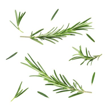 Beyaz üzerine izole edilmiş taze aromatik biberiye, kolaj