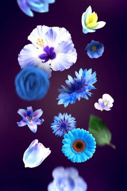 Mor arkaplana düşen mavi gölgeli güzel çiçekler
