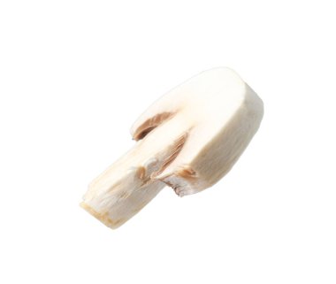 Bir parça taze mantar beyaza izole edilmiş.