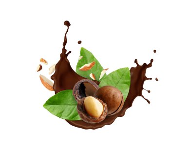 Beyaz arka planda fındıklı çikolata sıçraması