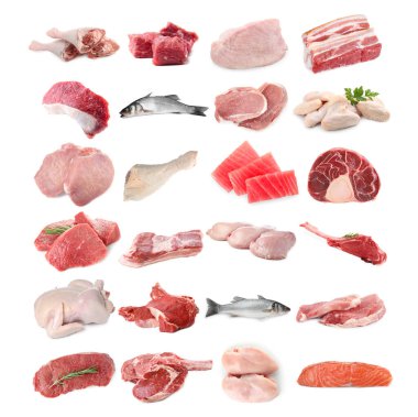 Balık ve et. Beyaz arka planda farklı ham ürünler, kolaj