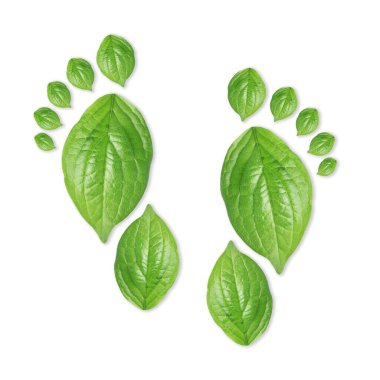 Beyaz arka planda yeşil yapraklardan yapılmış insan ayak izleri. Çevre bakımı, ekoloji koruması, CO2 emisyonunun azaltılması