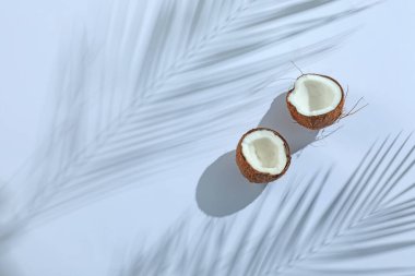 Taze hindistan cevizi ve açık gri arka planda tropikal palmiye gölgesi, üst manzara. Metin için boşluk