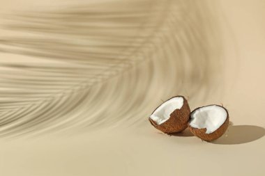 Taze hindistan cevizi ve bej arka planda tropikal palmiye tarafından dökülen gölge. Metin için boşluk