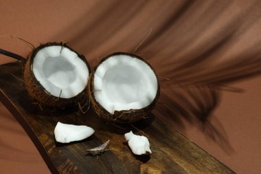 Taze hindistan cevizi ve gölge açık kahverengi arka planda tropikal palmiye, yakın çekim