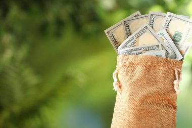 Bulanık yeşil arka planda dolar banknotları olan para çantası, yakın plan. Metin için boşluk