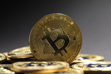 Kripto para birimi. Gri arkaplanda altın bitcoinler, yakın plan