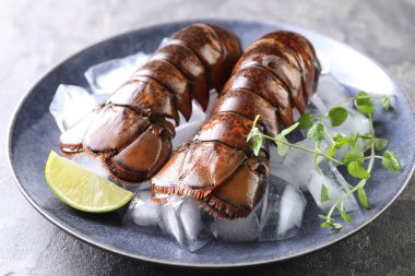 Çiğ ıstakoz kuyruğu, mikro yeşillikler, yeşil masada limon ve buz, yakın plan.