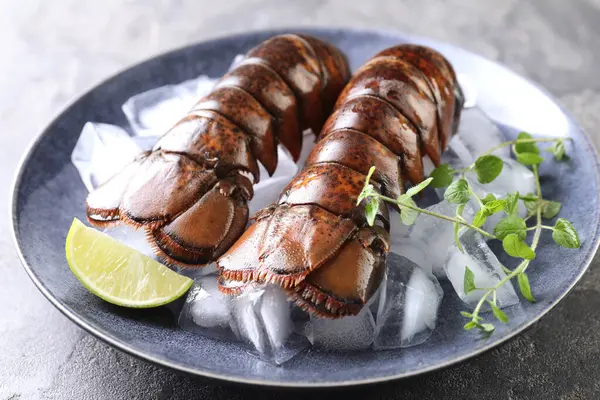 Çiğ ıstakoz kuyruğu, mikro yeşillikler, yeşil masada limon ve buz, yakın plan.