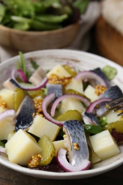 Ringa balıklı lezzetli salata, sebze ve hardal tabakta, yakın plan.