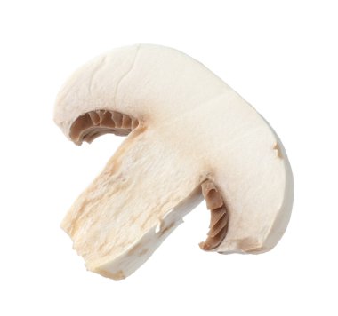 Bir parça taze mantar beyaza izole edilmiş.