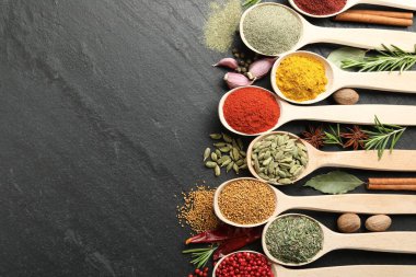 Siyah masadaki kaşıklardaki farklı aromatik baharatlar. Metin için boşluk