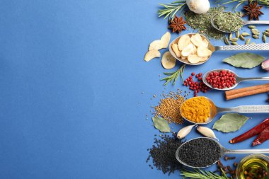 Farklı aromatik baharatlar mavi arka planda kaşıklarda, düz yerde. Metin için boşluk