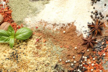 Arka plan olarak birçok farklı baharat, üst görünüm