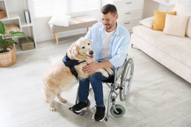 Tekerlekli sandalyedeki adam, hizmetli köpeği evde, yukarıda.