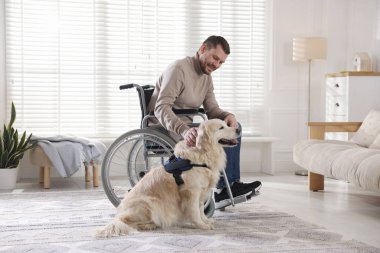 Tekerlekli sandalyedeki adam ve hizmetli köpeği evde