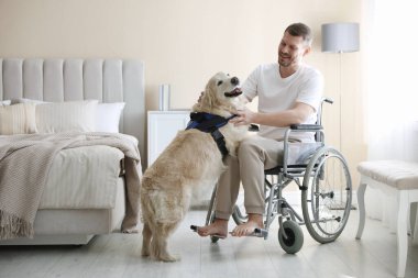 Tekerlekli sandalyedeki adam ve hizmetli köpeği evde