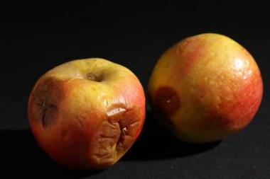 Siyah arka planda iki çürük elma, yakın plan.