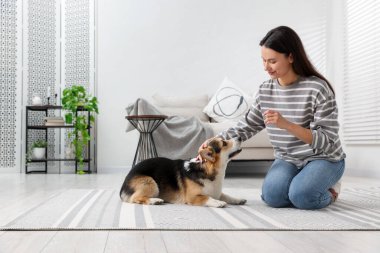 Mutlu kadın köpeğini evde eğitiyor.